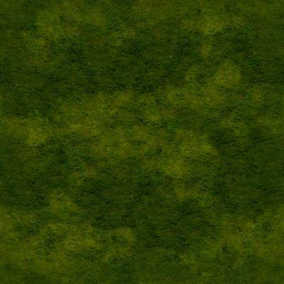 C草皮_0001 (7)_9db07578e1c8.jpg